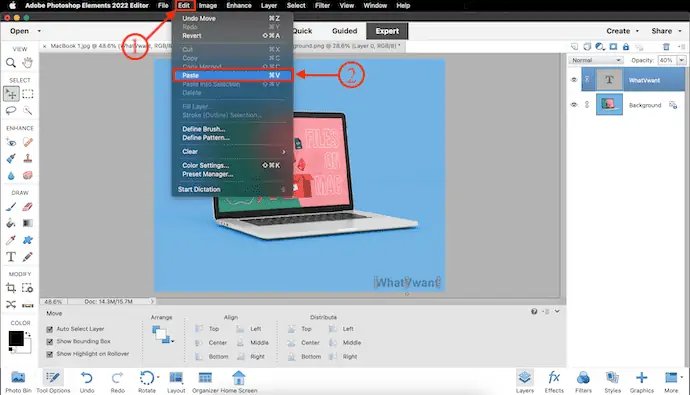 Pega el logotipo en el elemento Adobe Photoshop