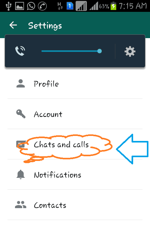 Chat de whatsapp de respaldo
