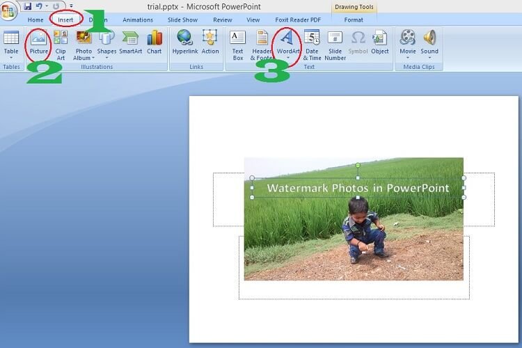 Cómo filtrar las fotos en PowerPoint