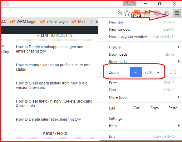 Google Chrome Zoom